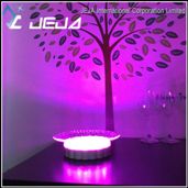 Wedding Items Suppliers