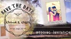 Banyan Tree - Hanging Picture Frames Video