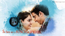 Holi - The 2nd Wedding Anniversary Of Colourful Life