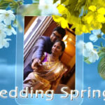 Wedding Springs - Blue Theme Save The Date Video