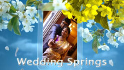 Wedding Springs - Blue Theme Save The Date Video