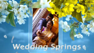 Wedding Springs - Blue Theme Save The Date Video