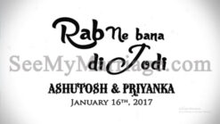 Rab Ne Bana Di Jodi - A Wedding Day Video With Cartoon Animated Black And White Theme Love Story