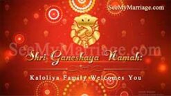 Weddings Are Forever - Traditional Royal, Stylish Red Theme Golden Sparkle Reveal 2d Motion Graphic Animated Cultural, Religion