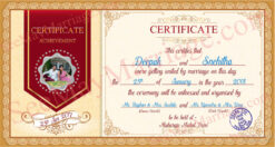 Happily Ever After - A Simple Wedding Save The Date In A Certification Model For Whatsapp E-card Invitation