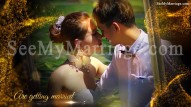 Wed Classics - Goldish Sparkle Animated Picture Slide Show Wedding Save The Date Video