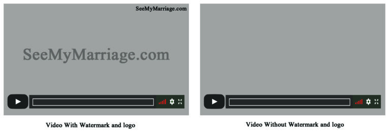 Purchase Without Watermark And Logo Video - Hd And Sd Resolution
