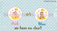 Pink Or Blue! No Clue_unique Baby Shower Animated Video Invitation | ID: 11576
