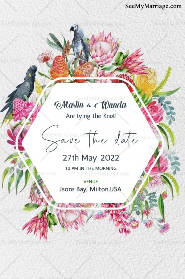 Texture, Floral, Macaw Bird, Parrot, Roses, Garden, Tree, Save the Date, Green Leaves, Perch