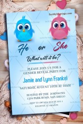 Baby Chick Theme Gender Reaveal Invitation Card Pink Or Blue