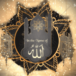 Royal Destiny Islamic Wedding Invitation Video Sparkling Shooting Star
