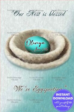 Egg In Nest Pregnancy Announcement Boy Blue Theme