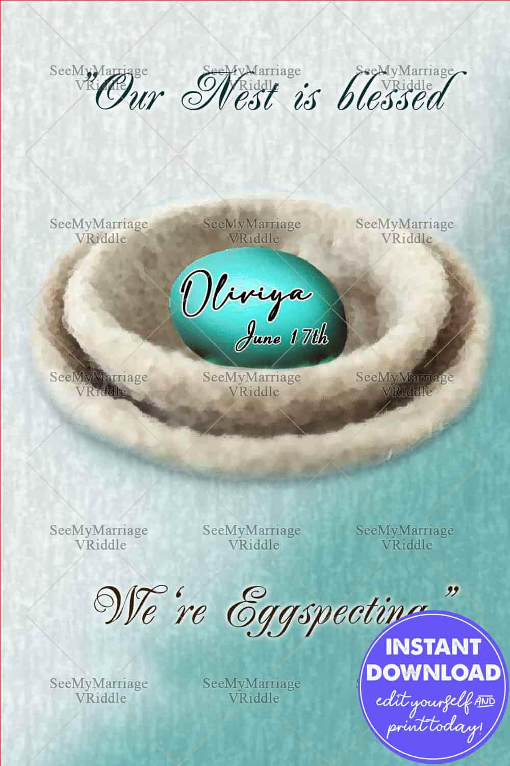 Egg In Nest Pregnancy Announcement Boy Blue Theme