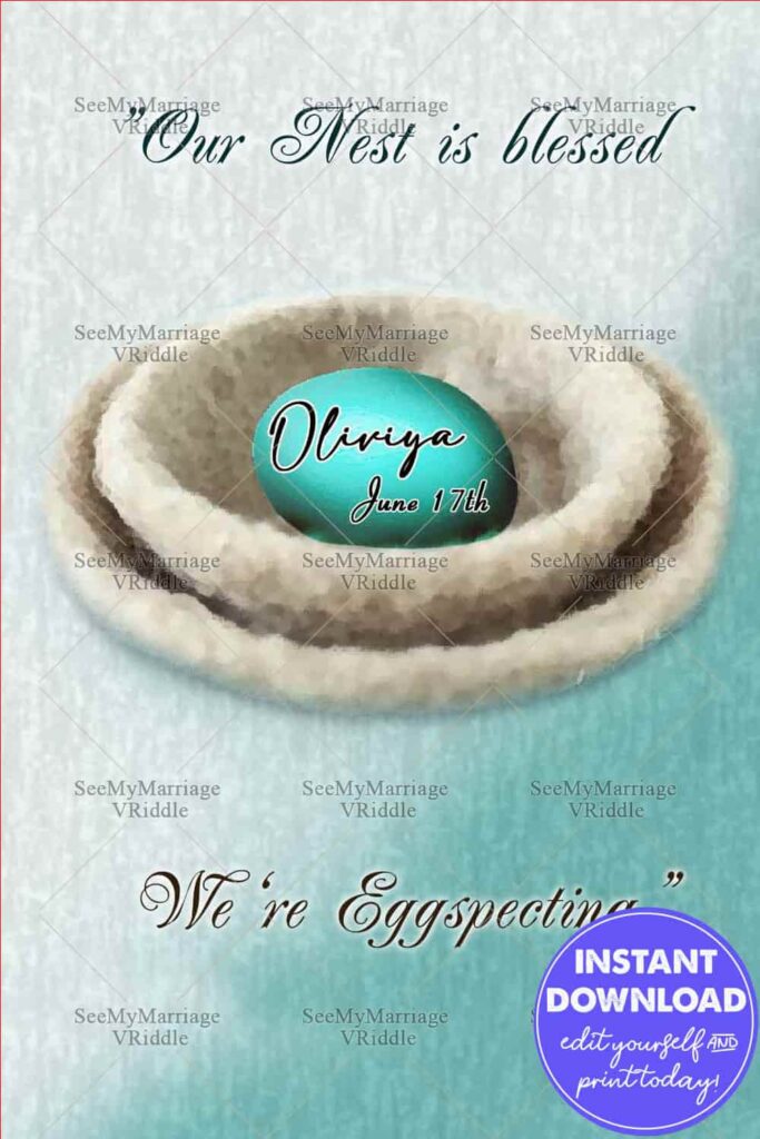 Egg In Nest Pregnancy Announcement Boy Blue Theme