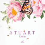 Paeonia and Butterfly theme Western Wedding Invitation