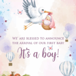 Butterfly and Crane Theme watercolor Baby Announcement Video Invite