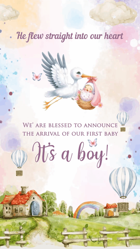 Butterfly and Crane Theme watercolor Baby Announcement Video Invite