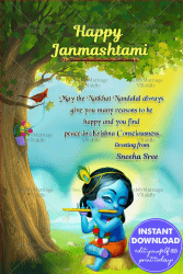 Brindavani Theme Krishnashtami Greeting Card