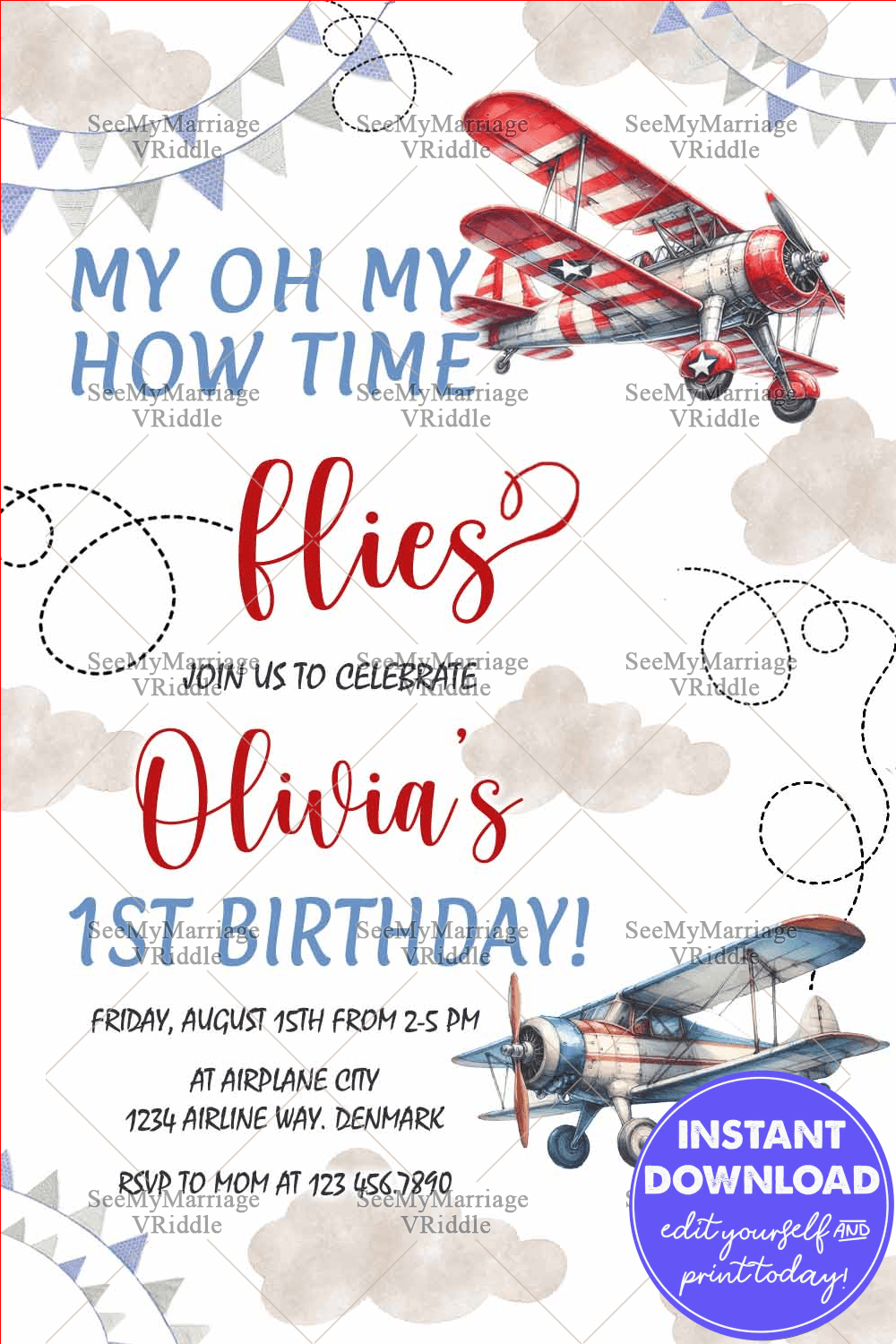 Vintage Airplane First Birthday Invitation Card