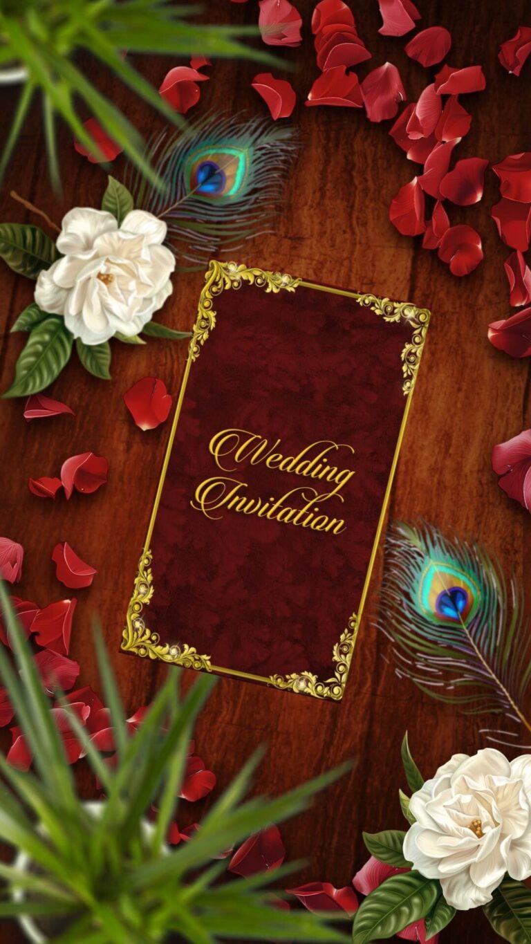 Family Rituals Traditional Wedding Invitation Video with Couple Illustration and Haldi, Mehendi, Sangeet, Reception