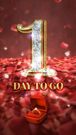 The Final Steps to Forever Wedding Countdown Video with Add Photo, Red Rose Petals, Sparkling Light Effects and a Velvet Ring Box Reveal