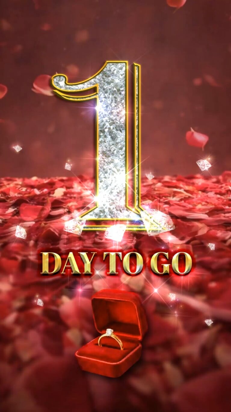 The Final Steps to Forever Wedding Countdown Video with Add Photo, Red Rose Petals, Sparkling Light Effects and a Velvet Ring Box Reveal